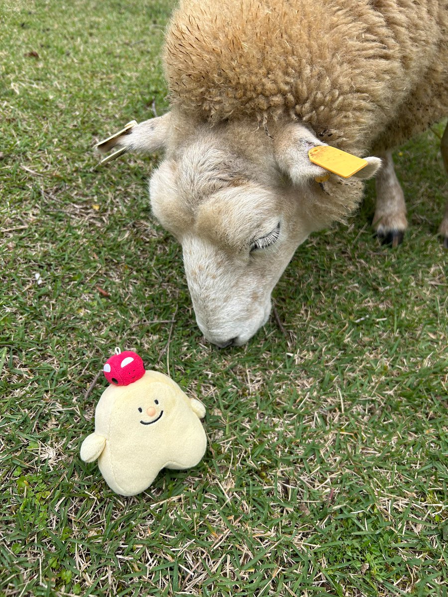 💮NAO💮 (@nao_mori) / Posts / X