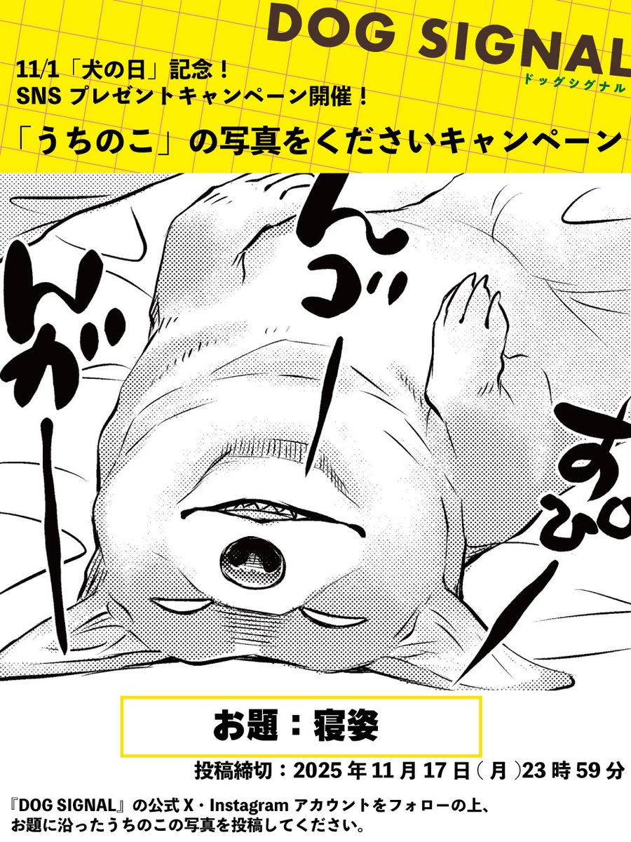 ／
11月1日は #犬の日
「うちのこ」の写真をくださいキャンペーン開催！
＼

リプライに、皆さんの自慢の
うちのこの【寝姿】の写真をください🐶

投稿してくれた方の中から抽選で1名様に、デジタルイラストをプレゼント🎁
お写真を元に、みやうち先生が描きおろします！

詳細はツリーをチェック✅