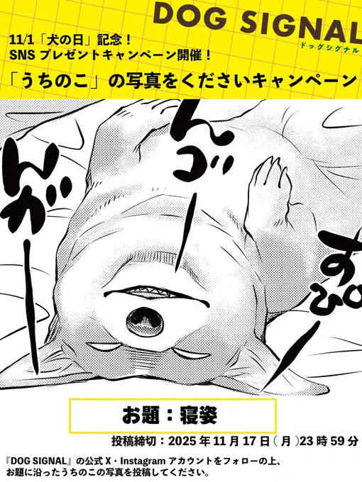 /
11月1日は #犬の日
「うちのこ」の写真をくださいキャンペーン開催!
\

リプライに、皆さんの自慢の
うちのこの【寝姿】の写真をください🐶

投稿してくれた方の中から抽選で1名様に、デジタルイラストをプレゼント🎁
お写真を元に、みやうち先生が描きおろします!

詳細はツリーをチェック✅ 