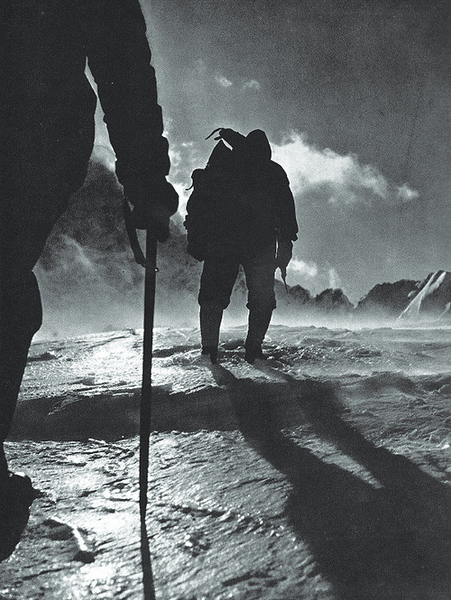 Remigration - europes will to live

Millions are dreaming of Remigration, in every European city this moment.

Only censorship &amp; brutal repression keeps us powerless, distracted and disorganized.

We will unite those dreamers, organize them and turn the dream in to willpower and