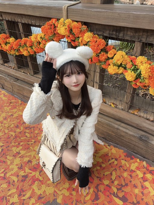 ぷりみゅーむのツイート