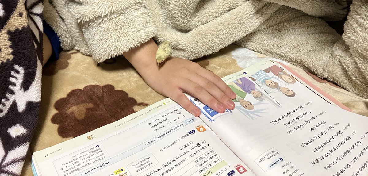 ポポチョロ🐦💨 on X