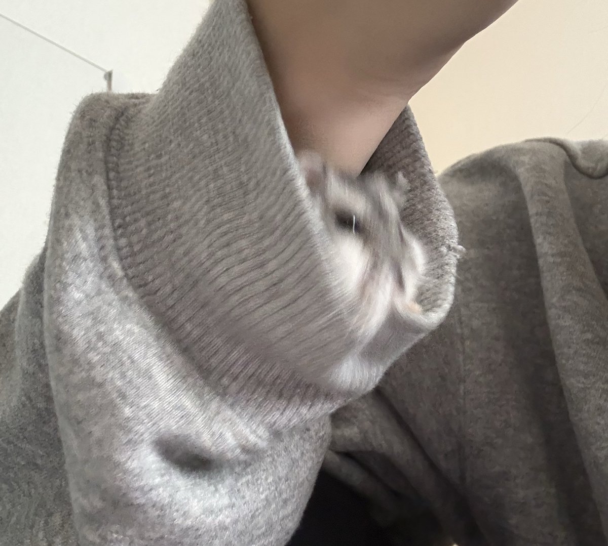 Cv3Fp's tweet image. 