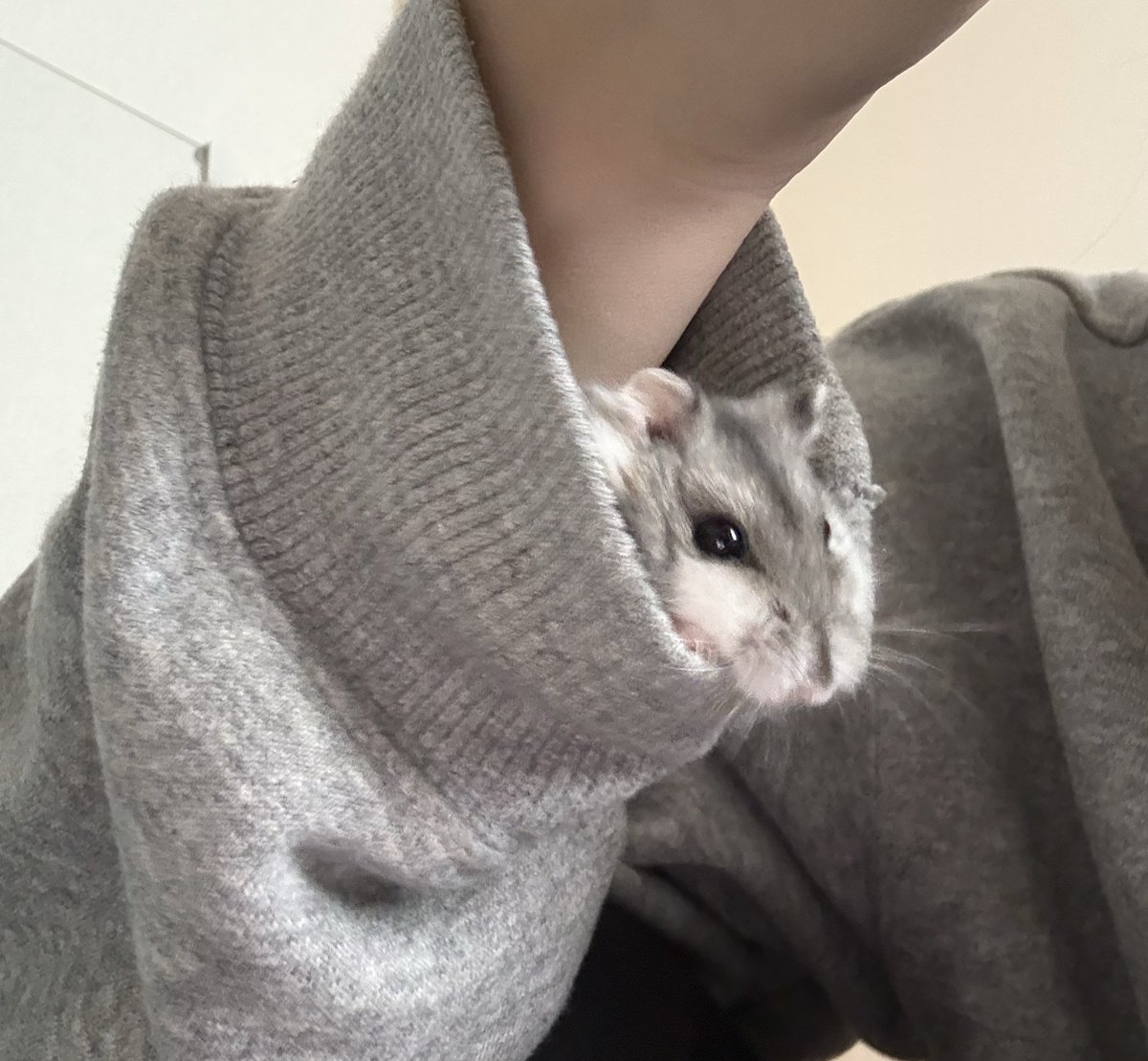 Cv3Fp's tweet image. 