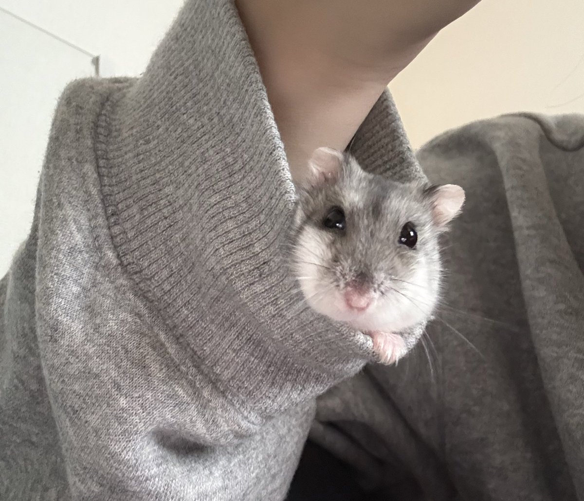 Cv3Fp's tweet image. 