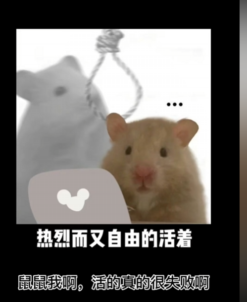 0xSyacter's tweet photo. @Tc0Dir 抽中我一次吧
0xc61210f17c08d3fdfa20b8ed53be060266ac9ad1 https://t.co/QBAEWOr2EQ