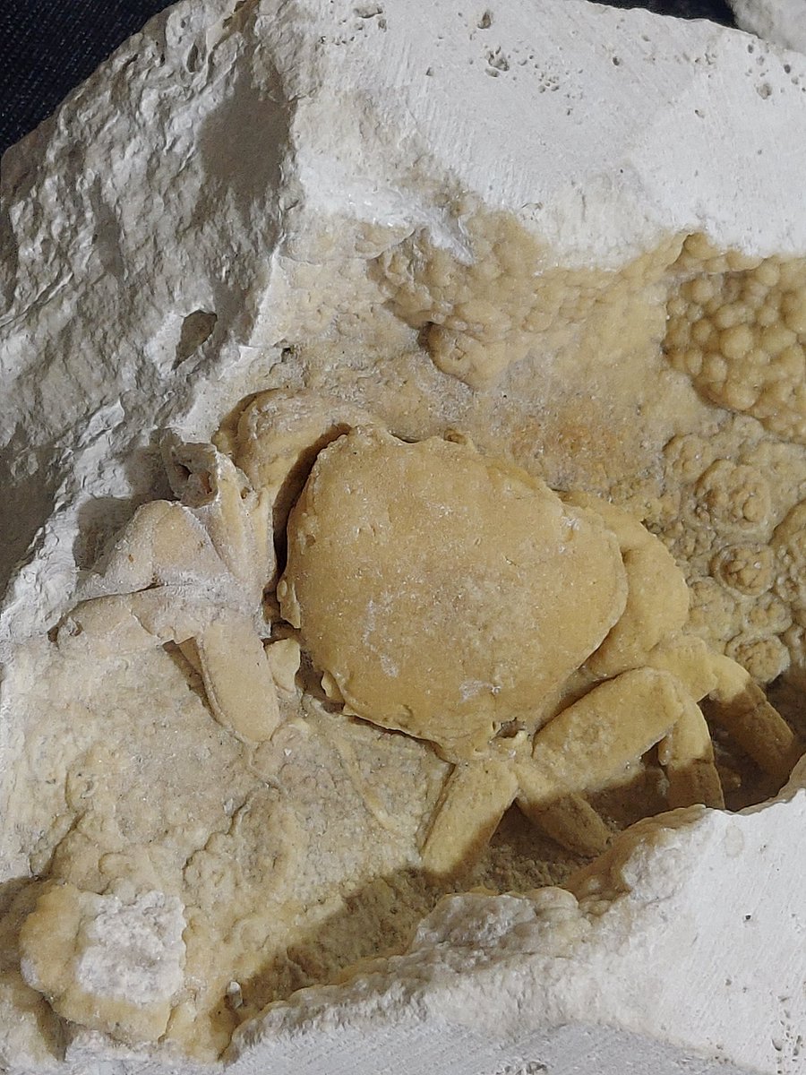 たけぞー (@signe705) / Posts / X