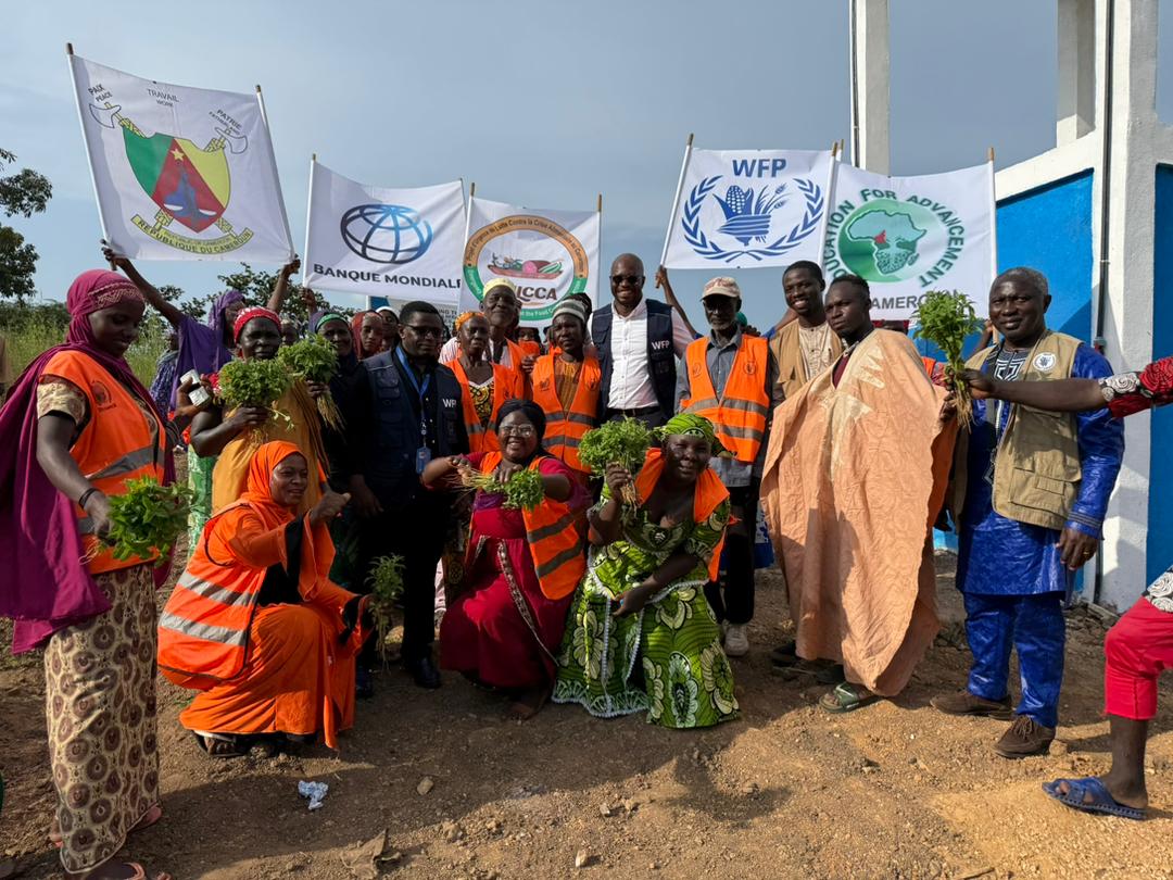 WFP_Cameroon's tweet image. #Cameroon🇨🇲

In #Adamawa, resilience grows from the ground up! 🌱

As part of a three-day mission, @WFP met with the Governor and visited the #PULCCA and @jica_direct_en (#IFNA) sites in #GodGabdo and #TchabalMounguel to strengthen collaboration and assess progress in…