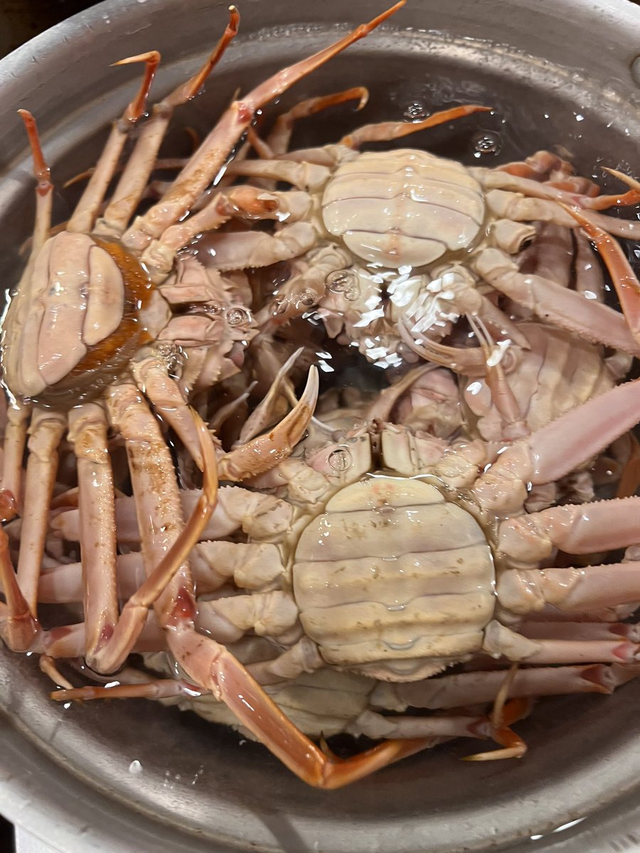 すし様 mikami limited50 （ミカミ リミテッド50【旧店名】shizuku