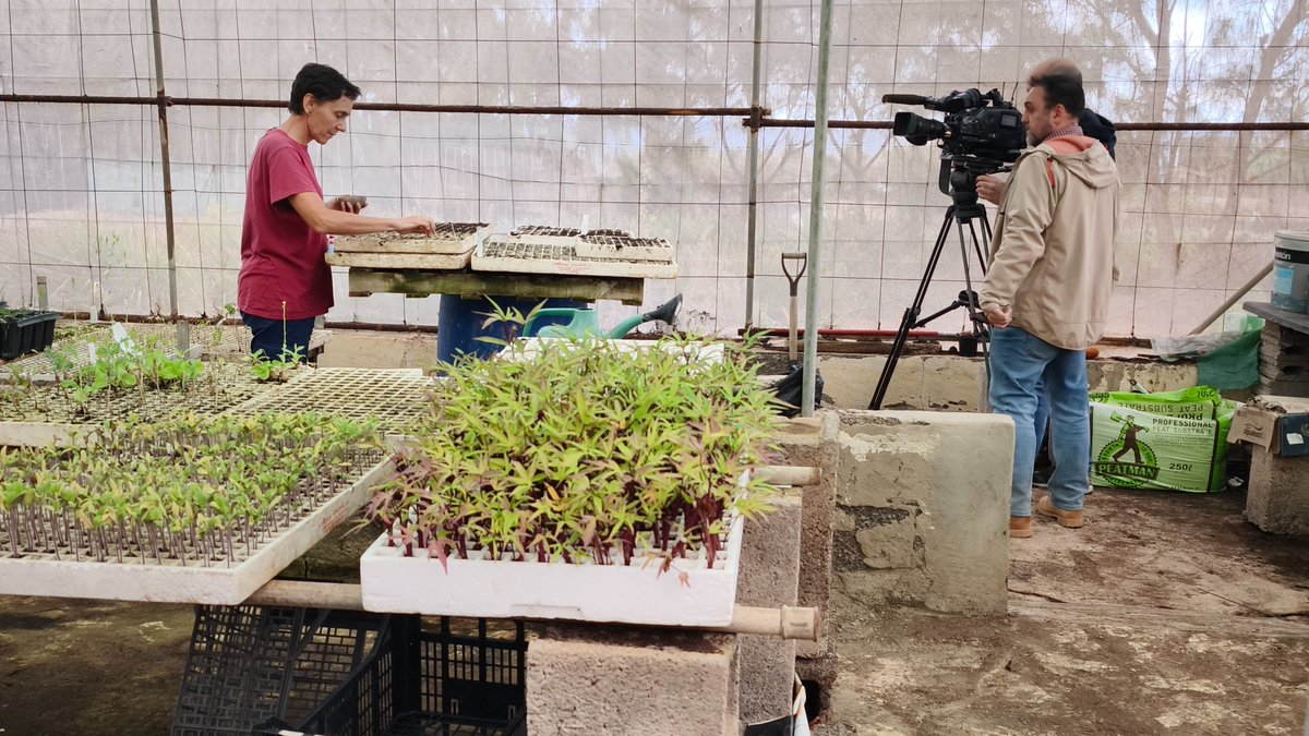 PueblodeDiostve's tweet photo. 📢 Recuerda, este #Domingo 2 de noviembre, Día de los Fieles Difuntos, nuevo programa de #PuebloDeDios : 'Bienaventurados en las Reoyas'. Aquí puedes ver algunos momentos del rodaje.
⏰¿Hora? A las 11:30h (hora peninsular), en @la2_tve @rtveplay @tveint_europa , con @fatimacmf https://t.co/z3Qtp3Evfi