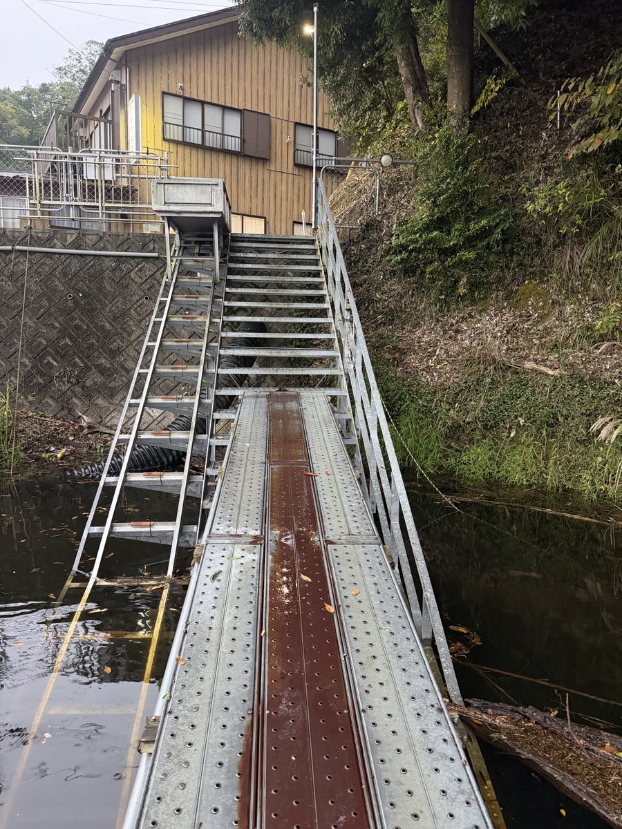 久しぶりに三島湖！石井ボートさん🙇
思った以上に上流に魚がいてびっくり！
明日から11月でもカエルの吊るし🐸

ほぼ満水なので石井ボートさんは手運びでも準備可能👍

終了30分前から雨が本気出してきた☔️
