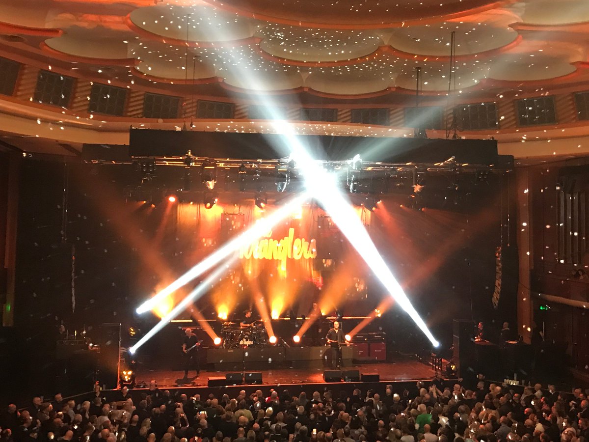 pipdesigns tweet media