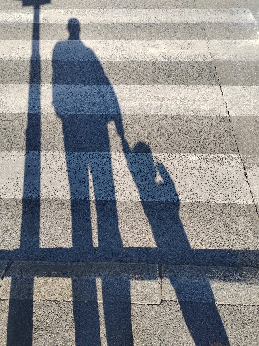 ognjentomasevic tweet media