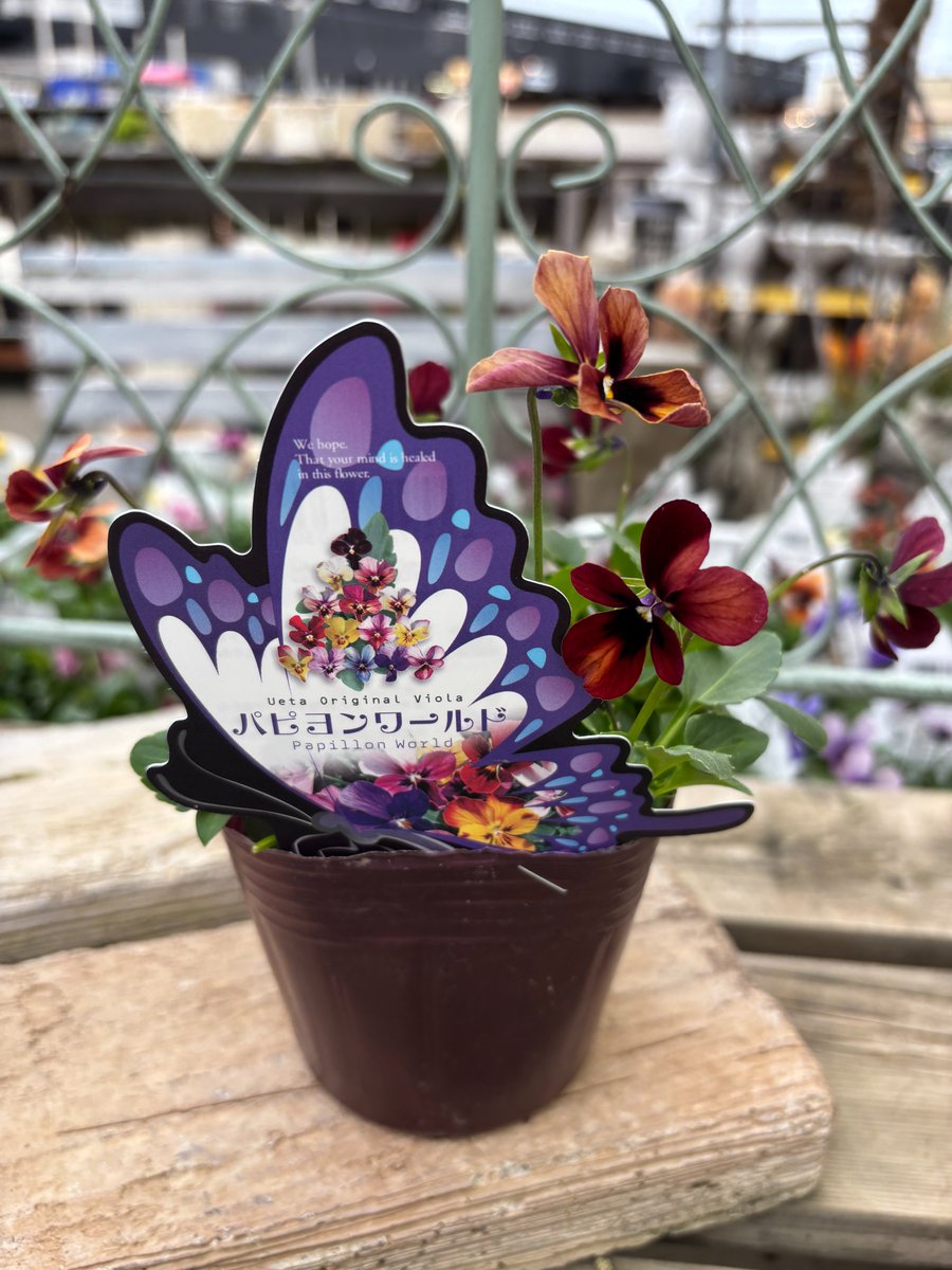 ジョイフル本田 ガーデンセンター on X