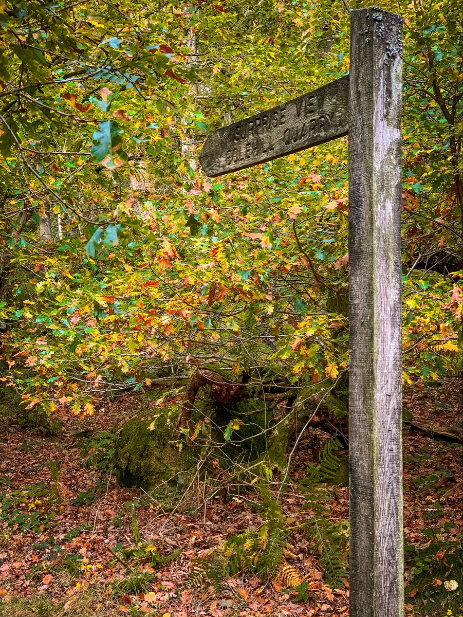 abdalla8338's tweet image. Happy #fingerpostfriday 
#PhotoFriday #peakdistrict #Peakdistrictwalk #PadleyGorge
