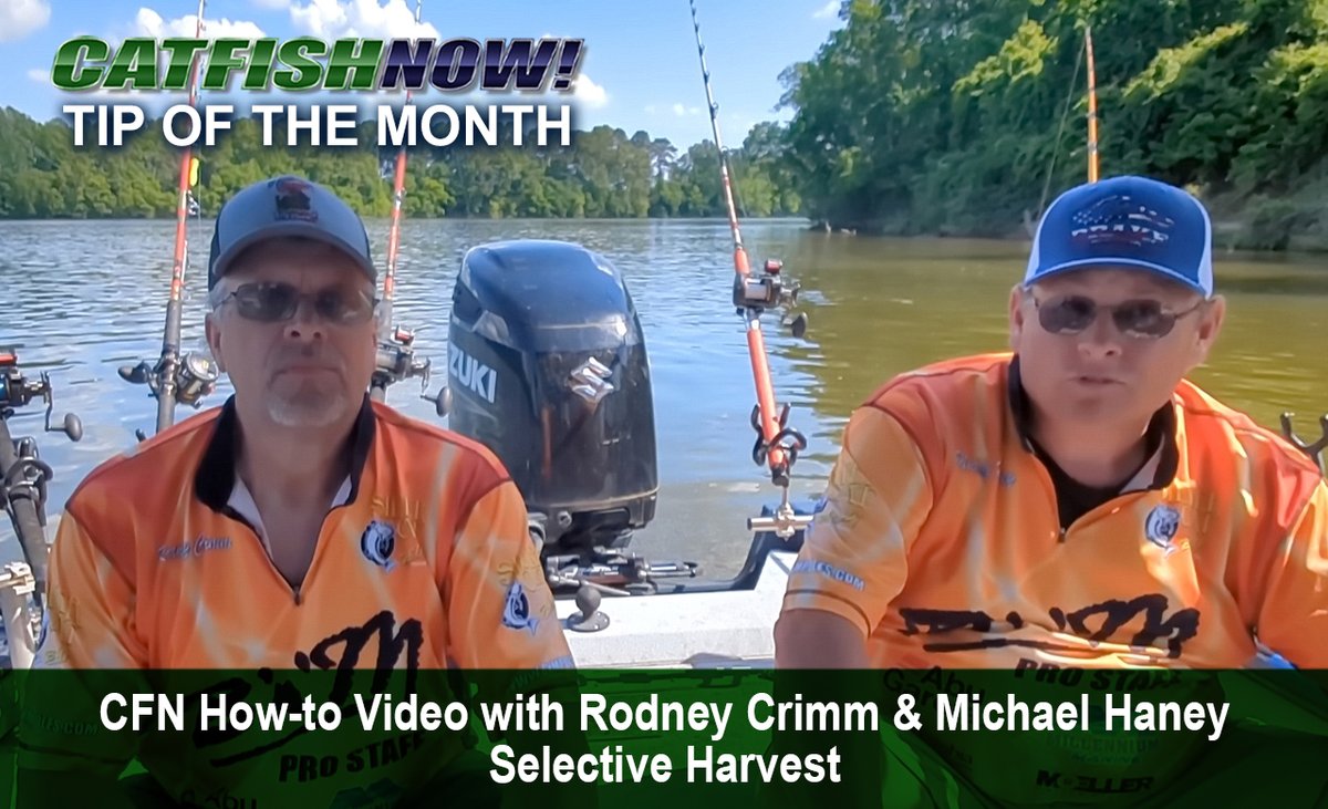 CatfishNOW1's tweet photo. Keeping smaller fish and releasing larger ones helps the fishery thrive. Rodney Crimm & Michael Haney break down the importance of selective harvest in this CatfishNOW how-to video.
https://t.co/BwaypdvbK4
#CatfishNOW #SelectiveHarvest #CatchRelease #CatfishConservation #Fishing https://t.co/flv84kpeXE