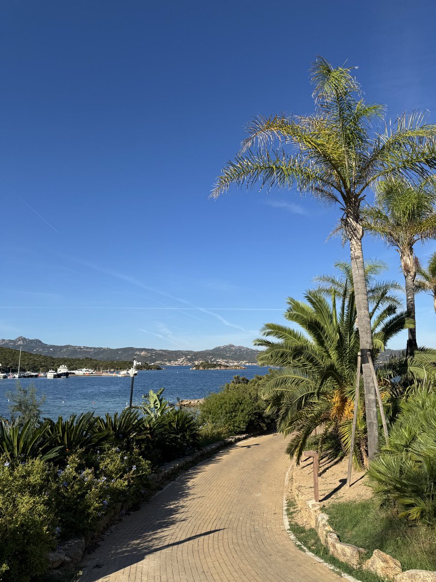 Solana_Kin's tweet image. 🧠 GM 

The future belongs to those who keep learning, adapting, and building.

Let’s make today count on-chain and beyond. 🔗
#Web3 #BlockchainEcosystem #Innovation