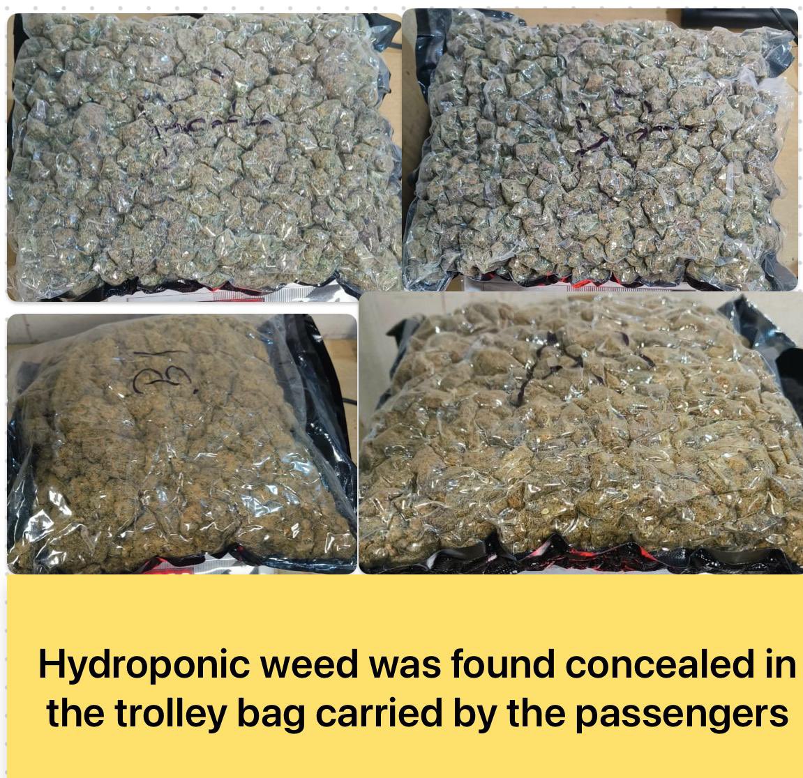 mumbaicus3's tweet photo. The officers at Airport Commissionerate, Mumbai Customs Zone-III, made a seizure of suspected NDPS (Hydroponic Weed) weighing 12.418 Kgs having an illicit market value of approx. Rs. 12.418 crores across 03 cases and recovered Apple iphone 17 pro max (40pcs), Laptops, cigarettes, liquor bottles valued at Rs. 56.55 Lakh in 01 case. 
 09 passengers were arrested.