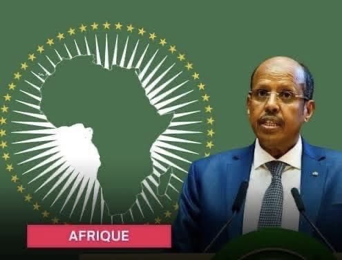 The DISCONNECT between the AU and the People of Africa is no longer sustainable. Something has to Give! We can no longer allow these muppets to go around claiming to represent us. IT CANT