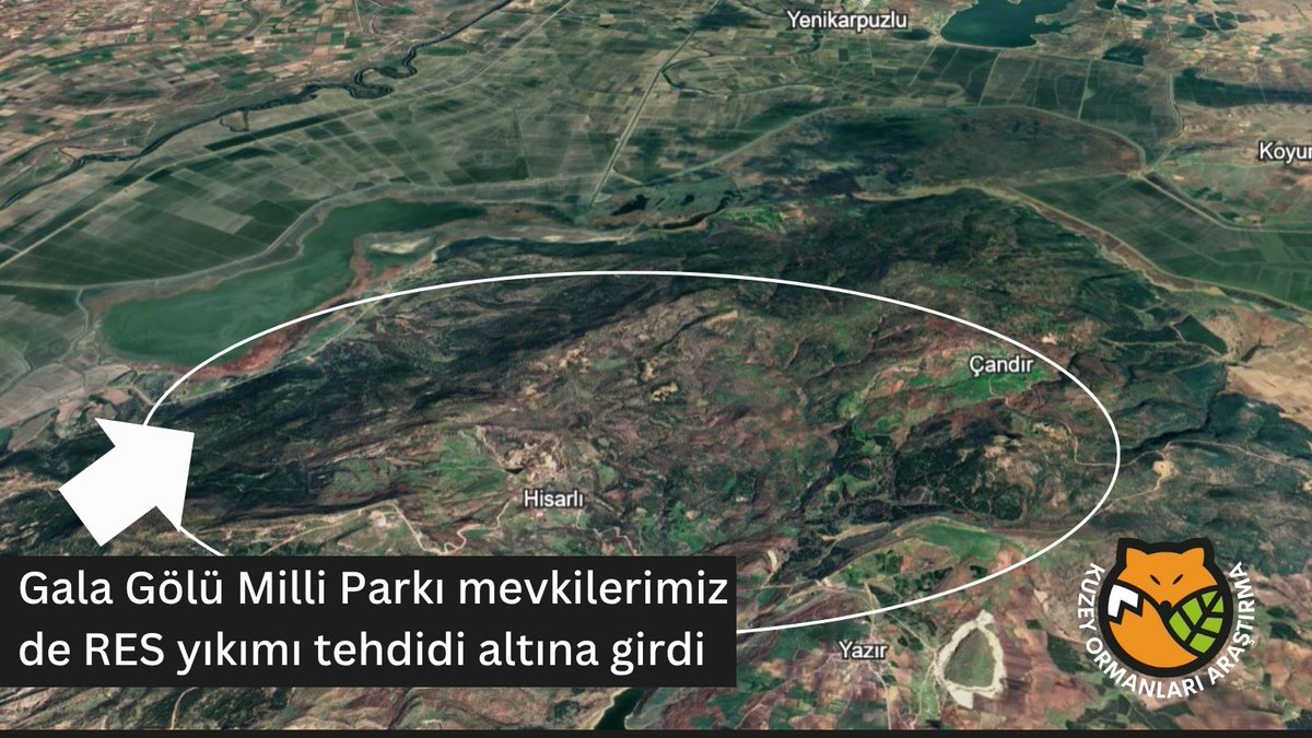 Kuzey Ormanları'nın her mevkii RES yıkımı altında:

Edirne Enez’deki Gala Gölü Milli Parkı'nın 100 metre yanı başına yapılacak bir RES projesi yolda.

Binlerce yıldır kuş göç yolu olan ve uluslararası koruma statüsü bulunan, Meriç Deltası sulak alan sistemiyle iç içe Gala Gölü