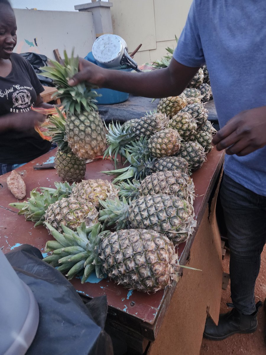 As per tradition 🫡