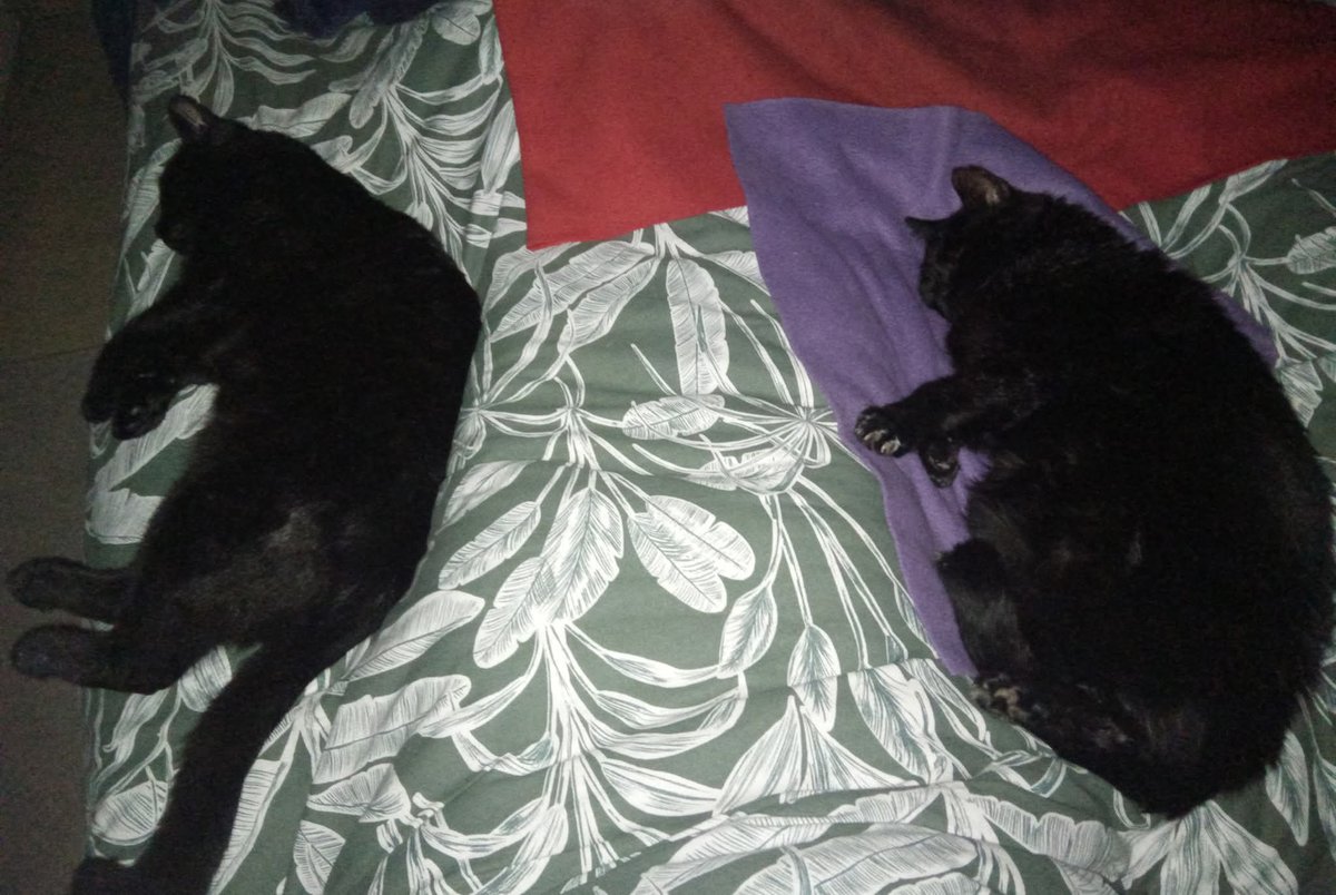 Nigel Sadler tweet media