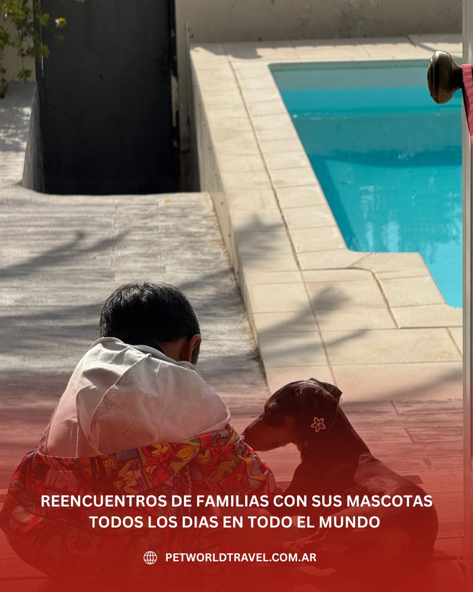 Traslado Internacional de Mascotas . Puerta a Puerta a todo el mundo
petworldtravel.com.ar