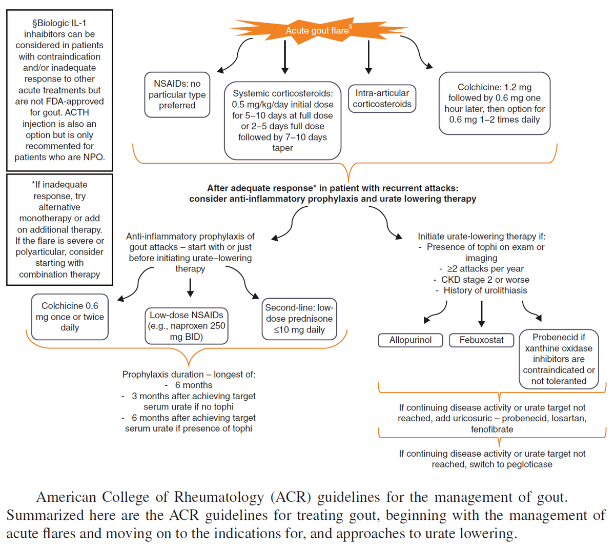 ManualOMedicine's tweet photo. Guidelines for the Management of Gout

#medtwitter #foamed #usmle https://t.co/llzeBCebvu