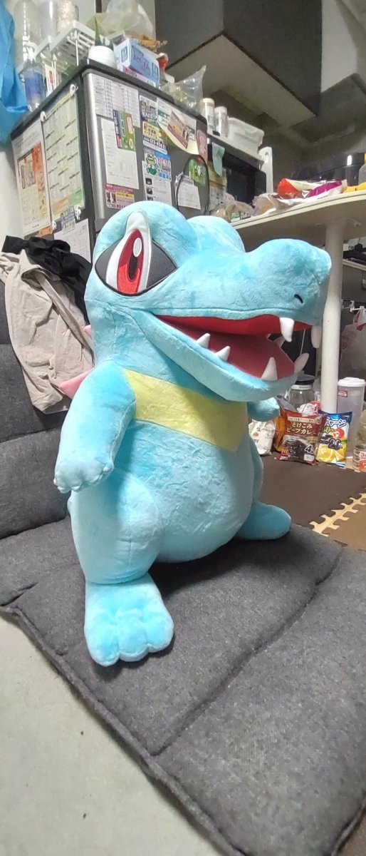 ブラックホワイト モコモコ様 AMBIDEX Store △〇ブロード レースピンタック スタンドブラウス