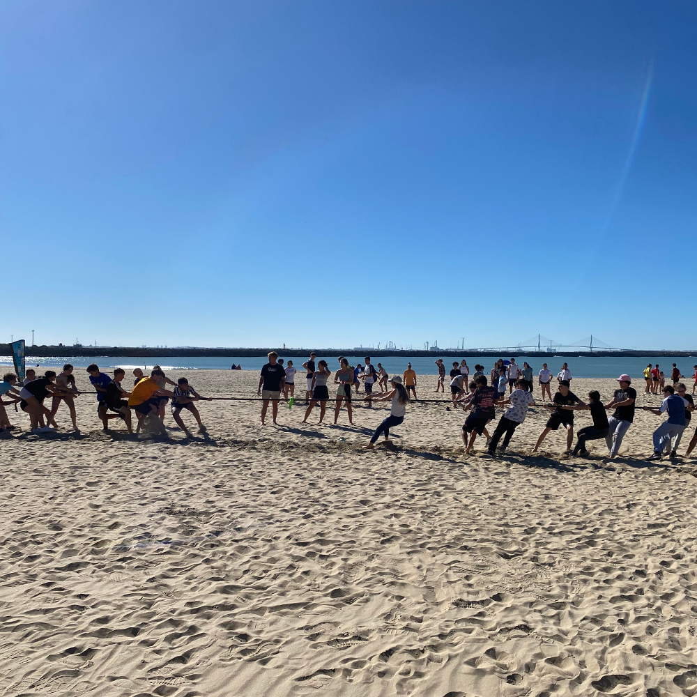 IES "Mar de Cádiz" tweet media