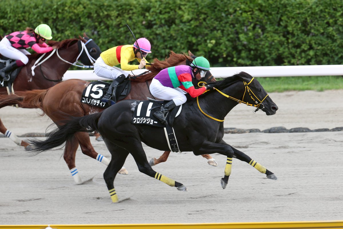 すみれ☆ 花芽すみれ 6周年記念2024