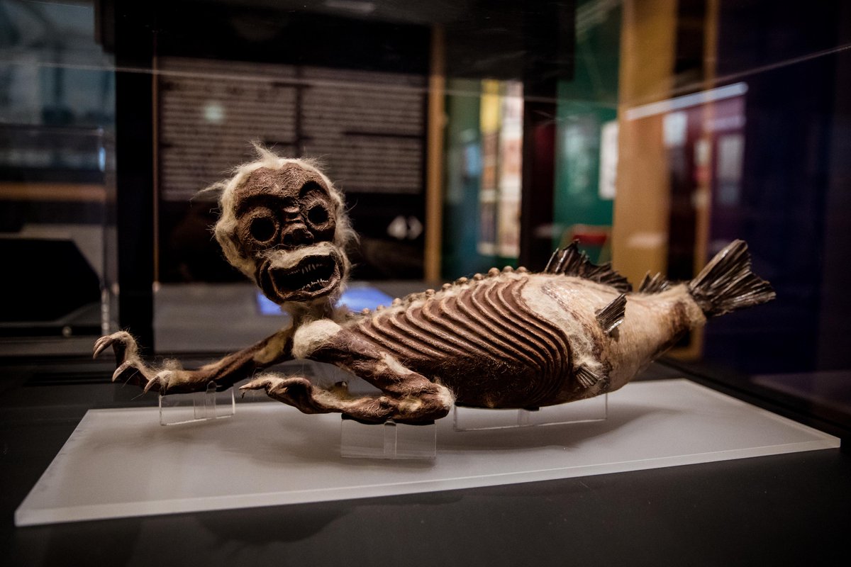 Archives nationales de France tweet media