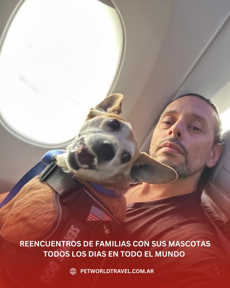 Traslado Internacional de Mascotas . Puerta a Puerta a todo el mundo
petworldtravel.com.ar