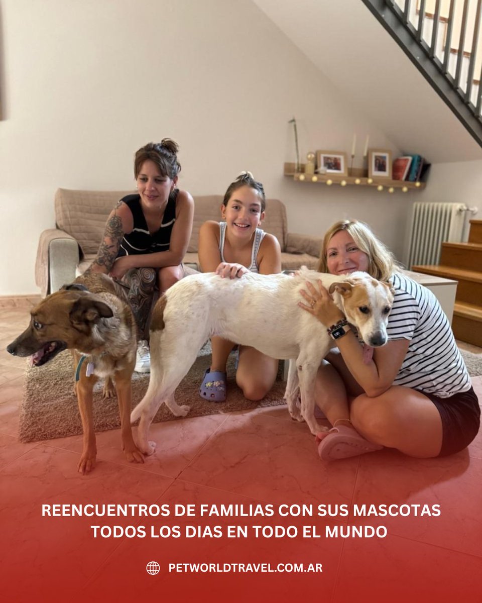 Traslado Internacional de Mascotas . Puerta a Puerta a todo el mundo
petworldtravel.com.ar