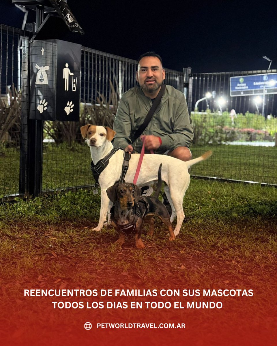 Traslado Internacional de Mascotas . Puerta a Puerta a todo el mundo
petworldtravel.com.ar