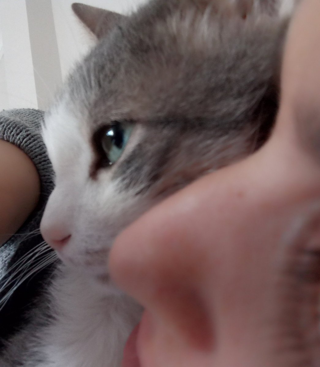 Şimdi bu pamuğu yüzümden indirip işe gitmek nedir yavv 🥹