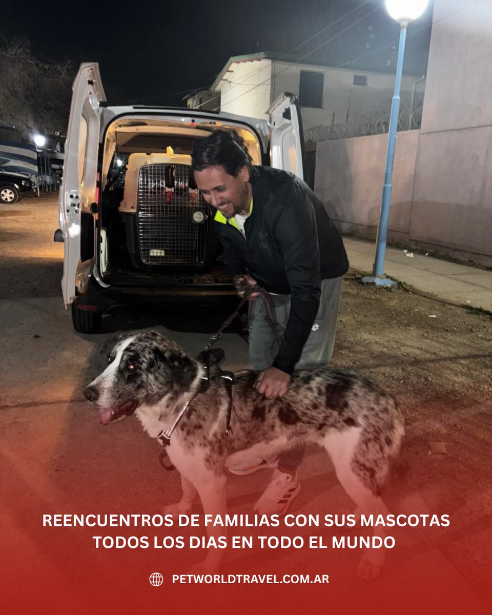 Traslado Internacional de Mascotas . Puerta a Puerta a todo el mundo
petworldtravel.com.ar