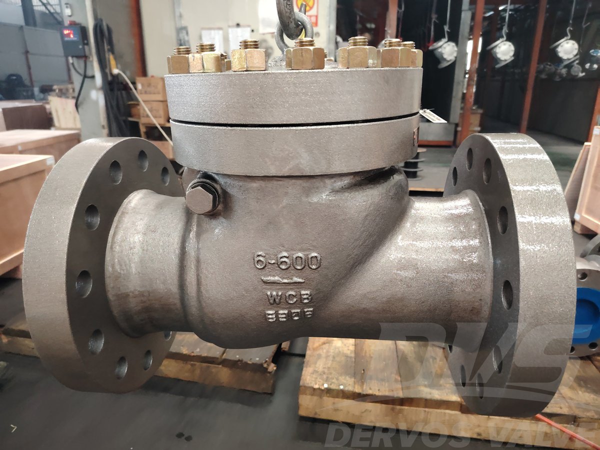 DervosValve's tweet image. 6” 600LB Cast Steel Swing Check Valve WCB API 6D RF
dervosvalve.com/6-600lb-cast-s…
#IndustrialValves #Valves #FlowControl #Engineering #swingcheckvalve
