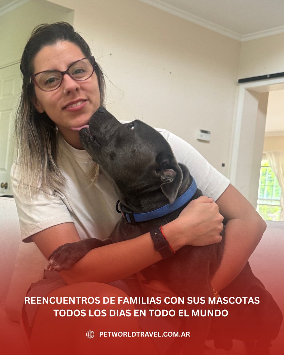 Traslado Internacional de Mascotas . Puerta a Puerta a todo el mundo
petworldtravel.com.ar