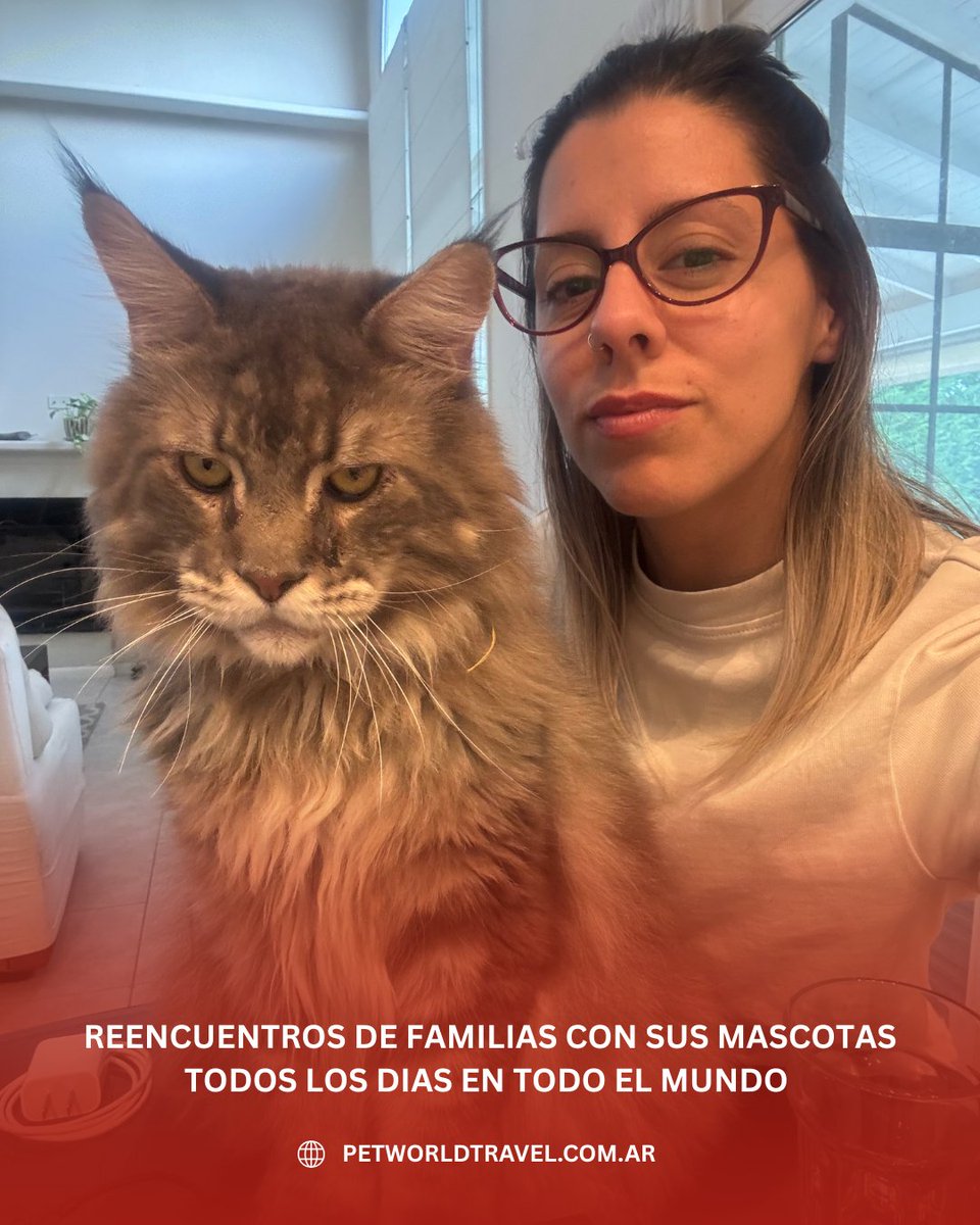 Traslado Internacional de Mascotas . Puerta a Puerta a todo el mundo
petworldtravel.com.ar