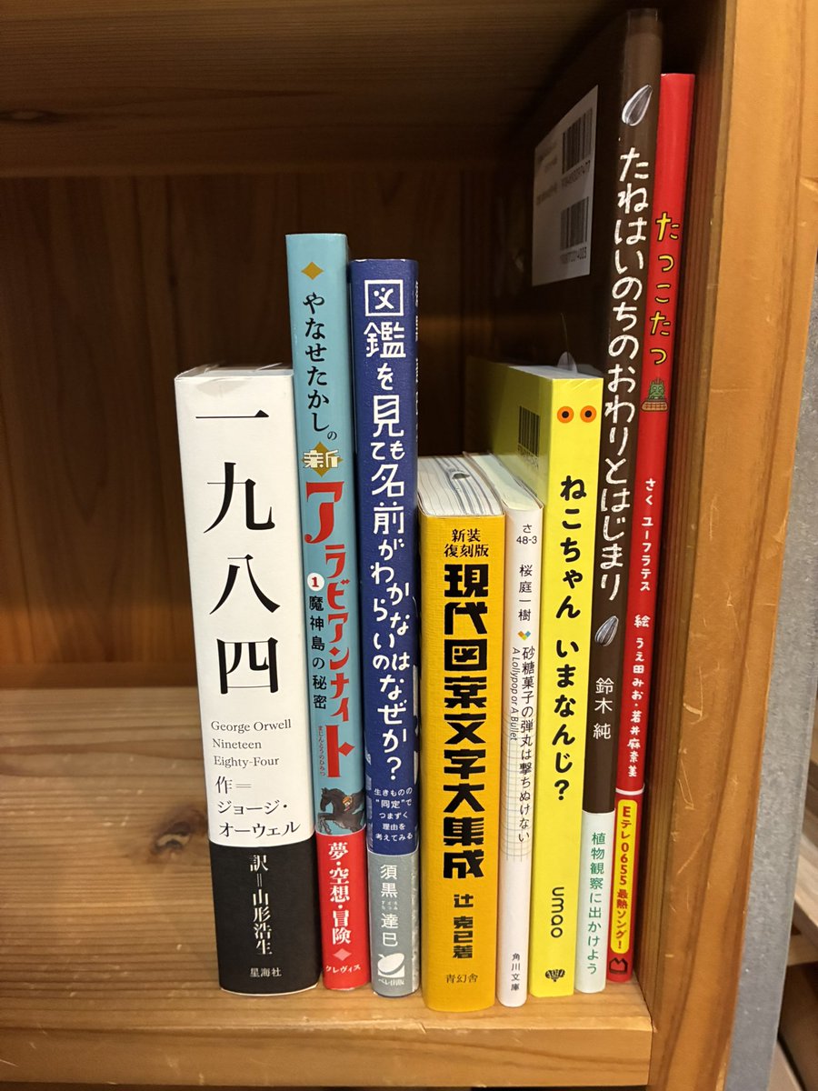 坪内商法における失敗の研究 (YELL books) a3 坪内商法における失敗の