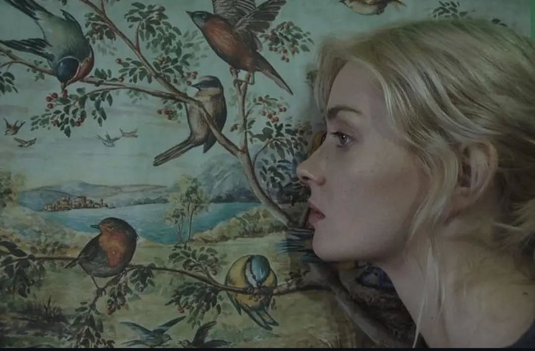 "Sen bir kuşsun fikrinden uçmak çalınmış"