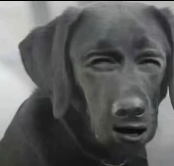 web3speed's tweet image. Gm CT 

My eyes are cooked but it&apos;s another day to go again😹