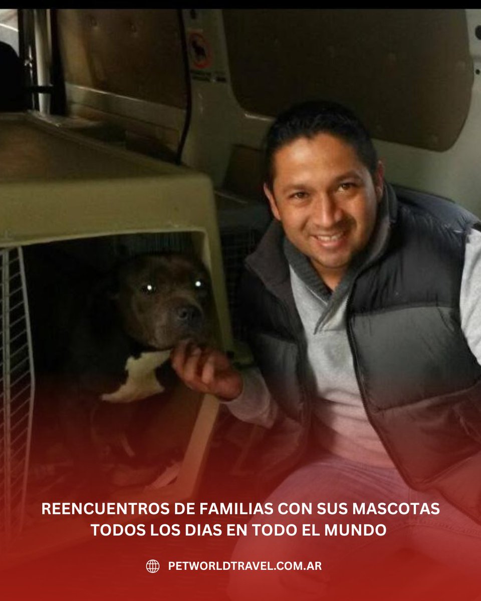 Traslado Internacional de Mascotas . Puerta a Puerta a todo el mundo
petworldtravel.com.ar