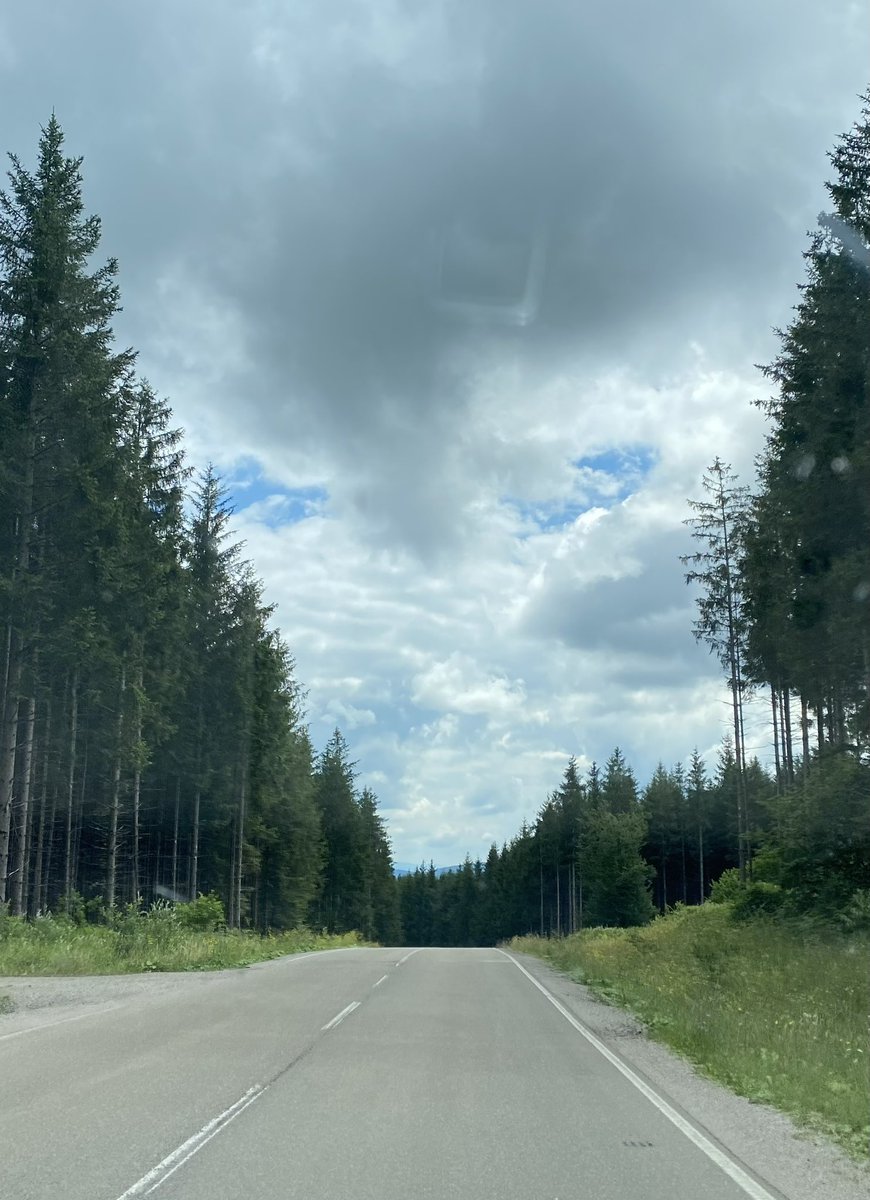 gm

happy halloween!