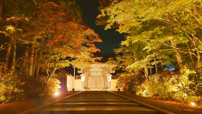 ✿「風 Ⅴ」✿ on X