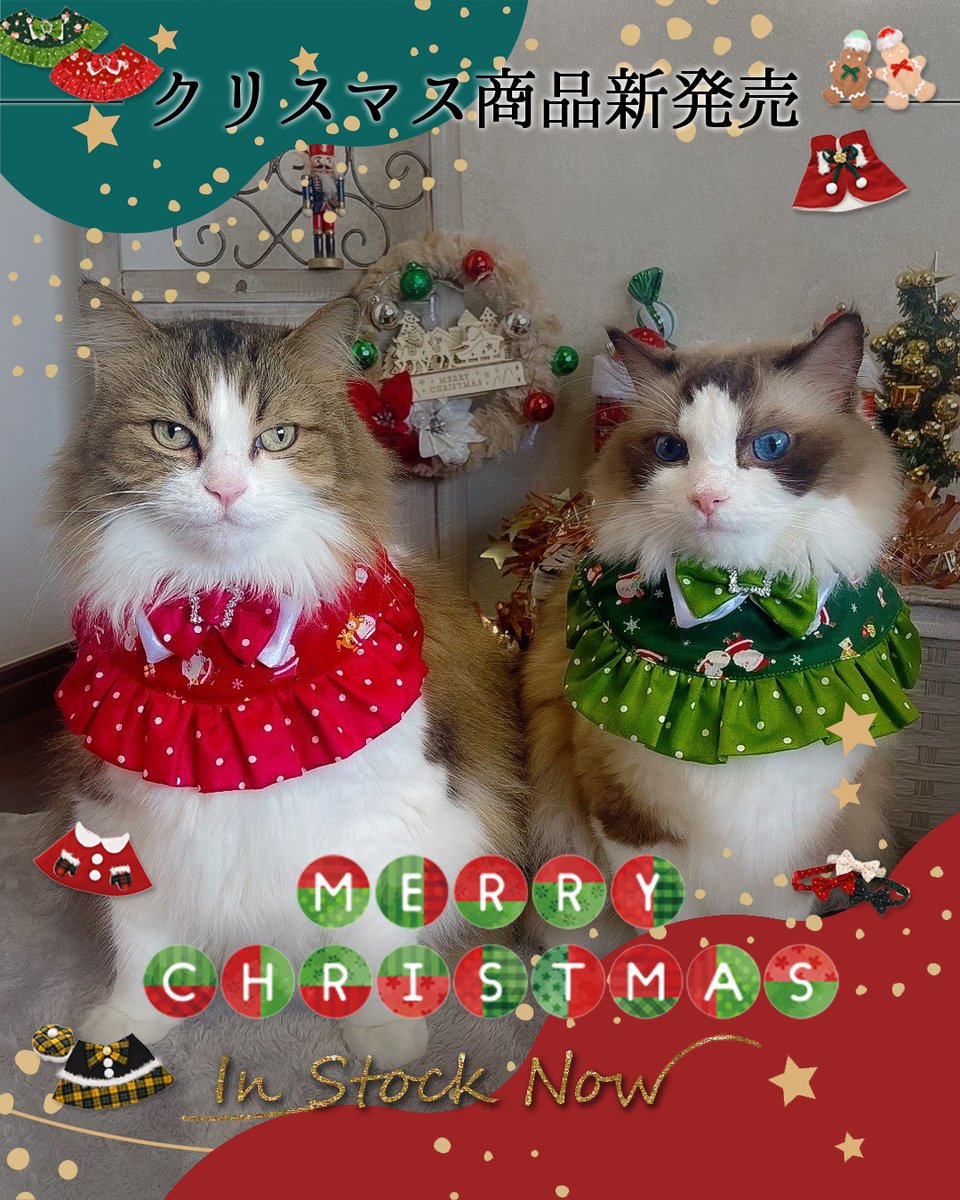 猫用品のゴロにゃん (@56nyan_com) / Posts / X