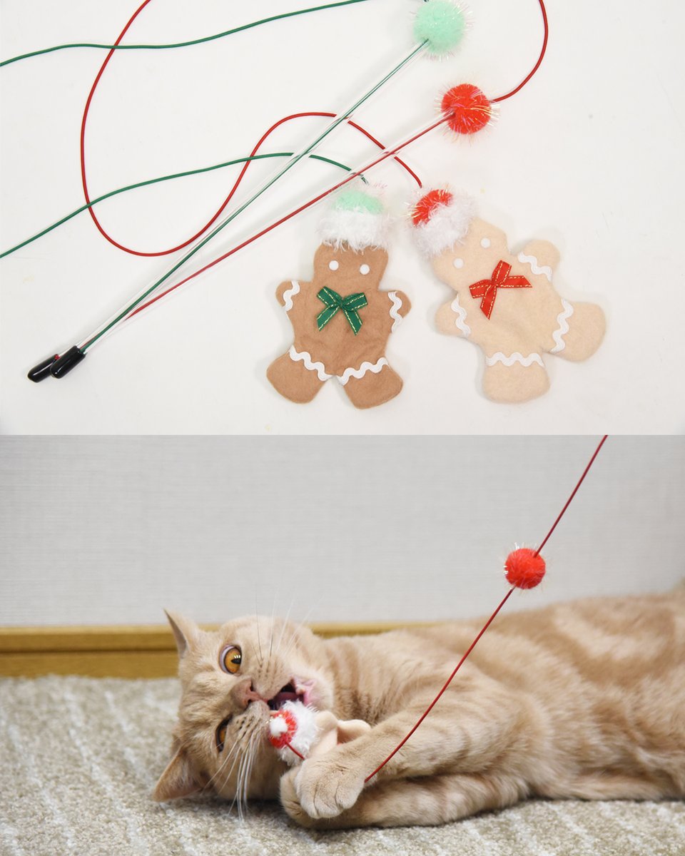 猫用品のゴロにゃん (@56nyan_com) / Posts / X