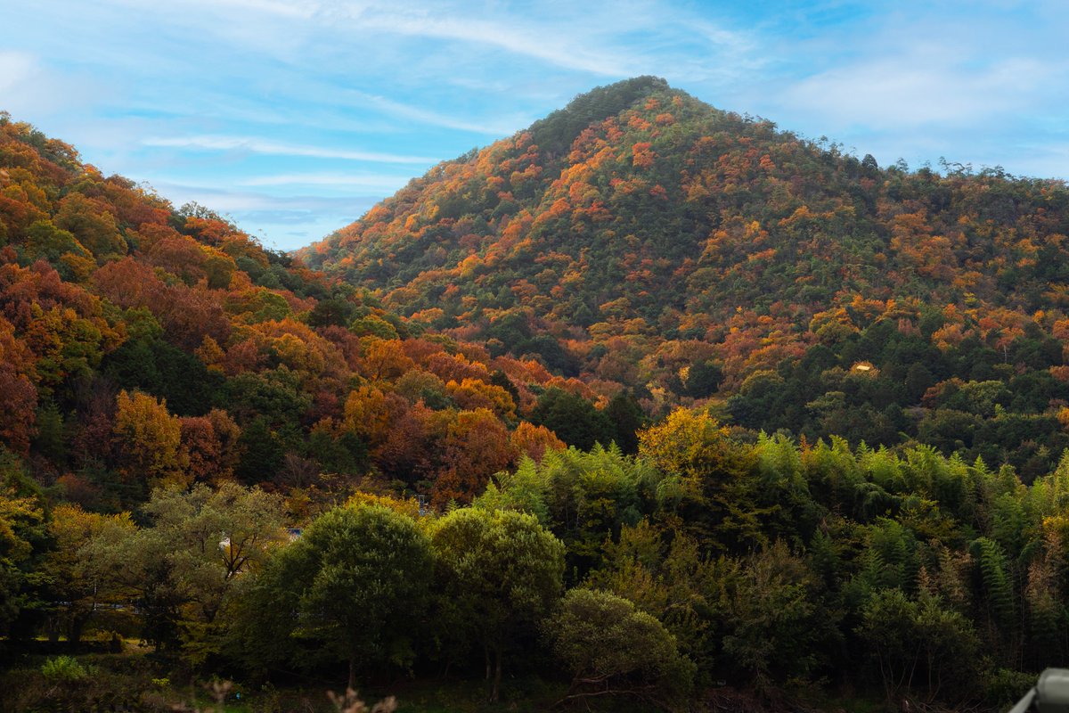 突然ですが、

＿人人人人人人人人人人人人人人人人＿
＞　トランクカーゴアイテムを探せ　＜
￣Y^Y^Y^Y^Y^Y^Y^Y^Y^Y^Y^Y^Y^Y￣

いろんなトランクカーゴ製品が隠れてます👀1つでも見つけたらリポストしてくださいね！🔁
確か6つくらい隠れていたはずです←