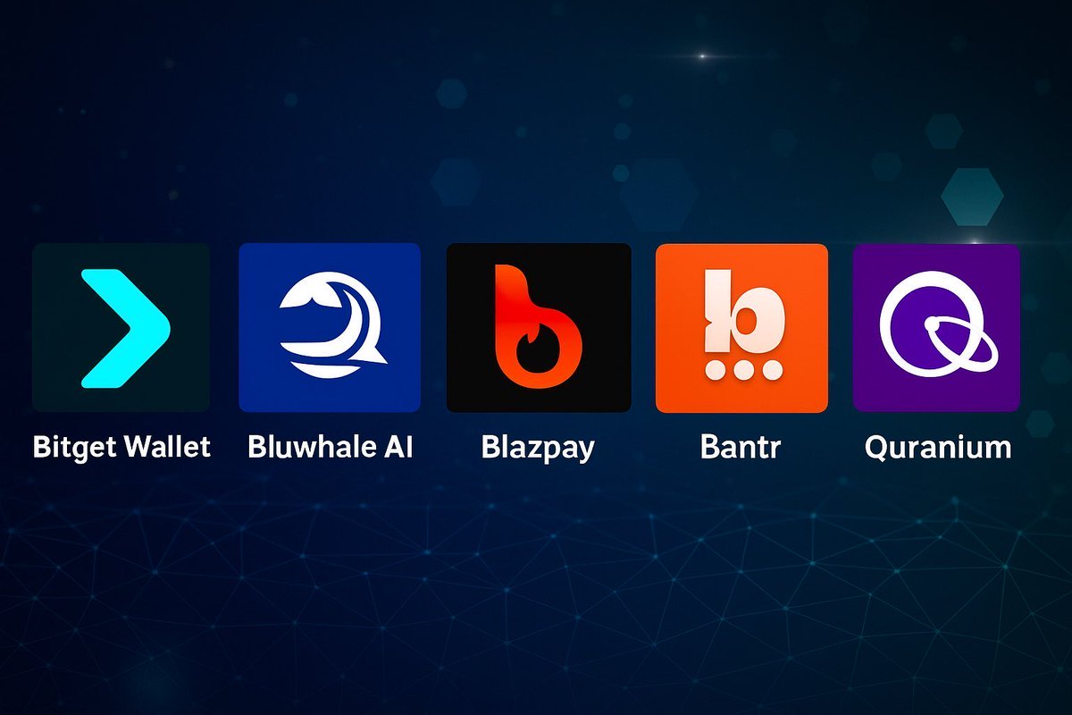 TLN Exchange provides Future-focused tools supporting user growth..msi